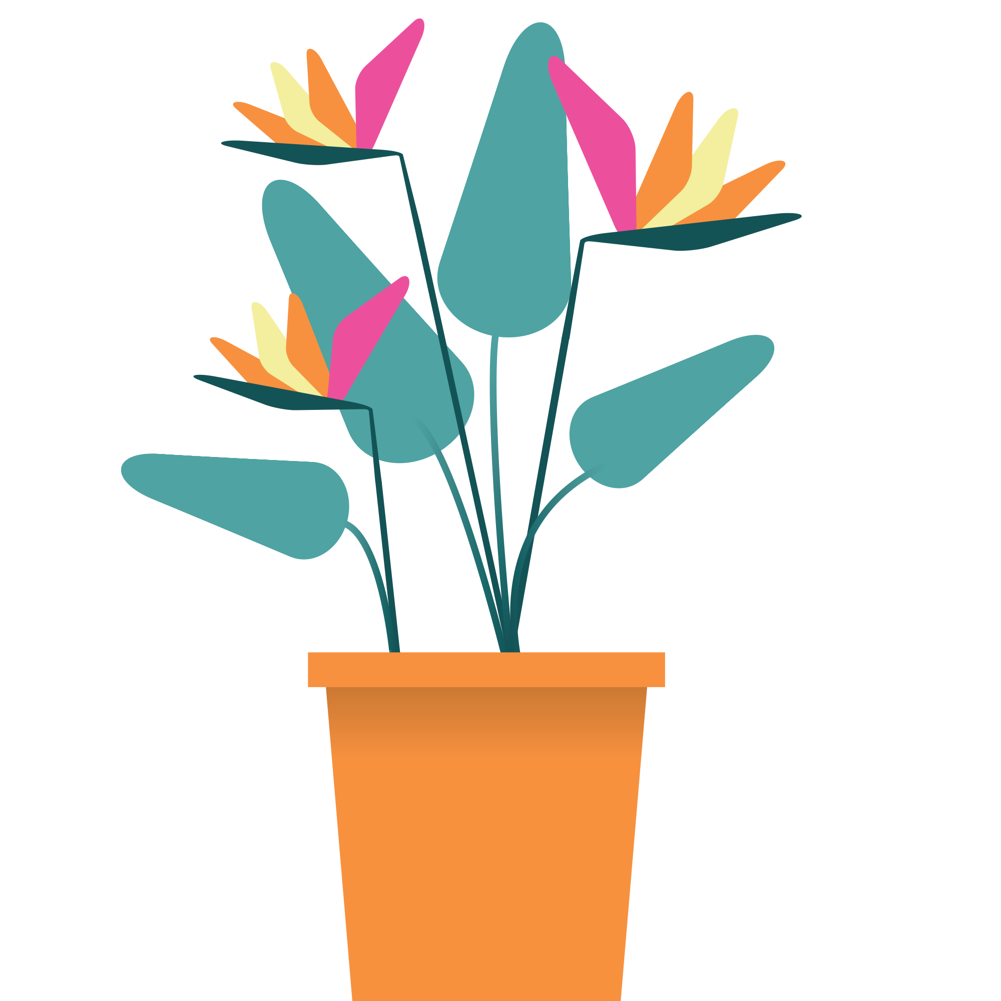 Kleurrijke kokonuts-plant met paradijsvogelbloemen